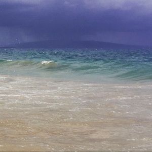 Meet your Posher, Bella